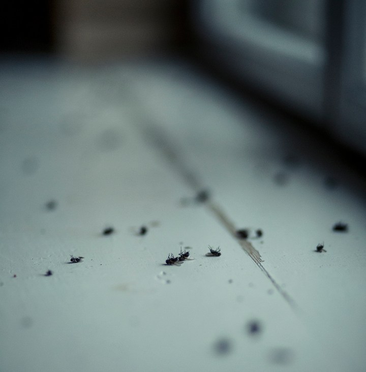 0Z1A6313LV heart home B