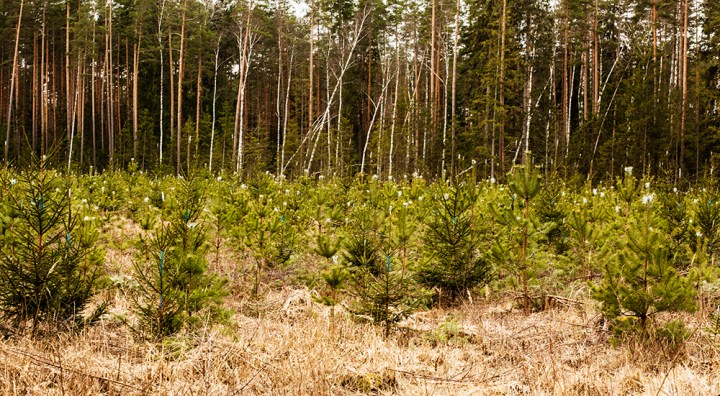 0Z1A6453LV TO BE PROUD B