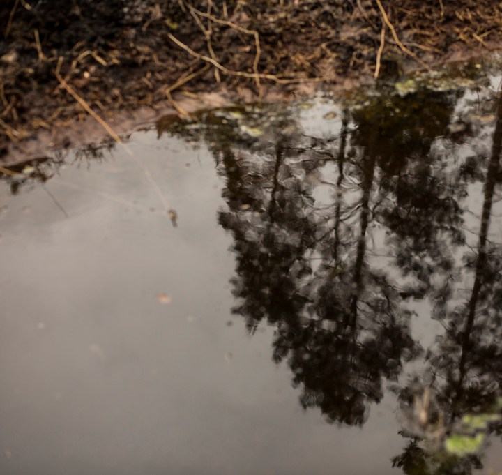 0Z1A6468LV TO BE PROUD B