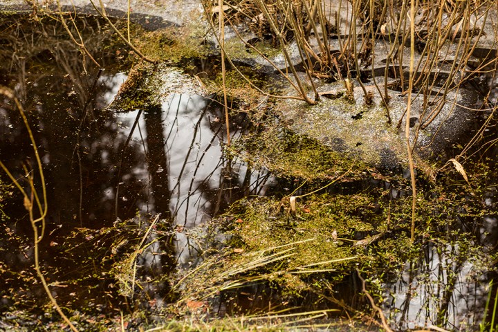 0Z1A6490LV TO BE PROUD B