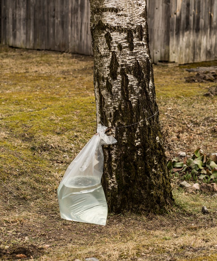 0Z1A6552LV TO BE PROUD B