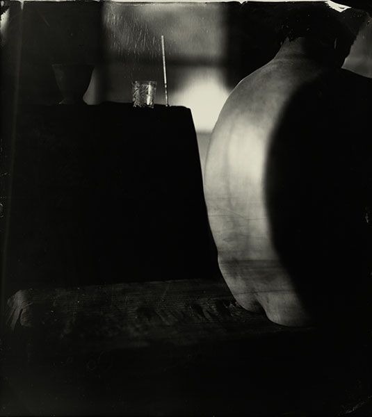 sally_mann_proud_flesh_04