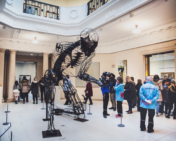 0z1a8007culture2017week2-b