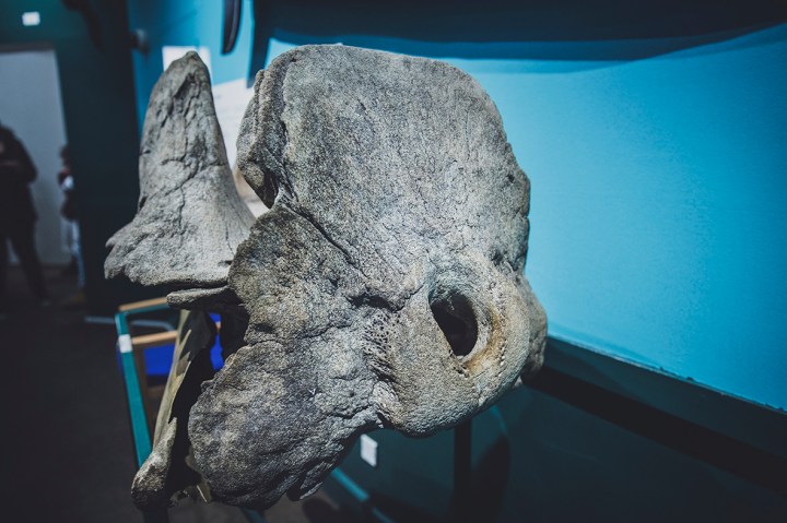 0z1a8086culture2017week2-b