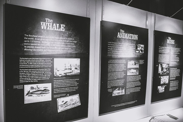 0z1a8135culture2017week3-b