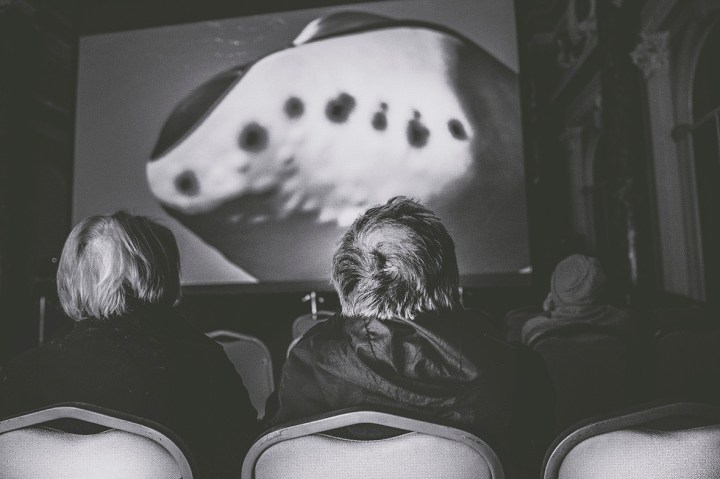 0z1a8139culture2017week3-b