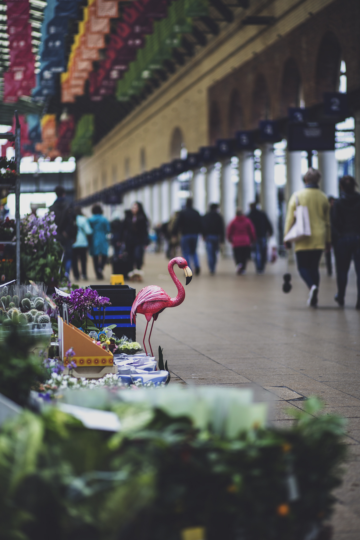 HULL PARAGON INTERCHANGE FLAMINGO
