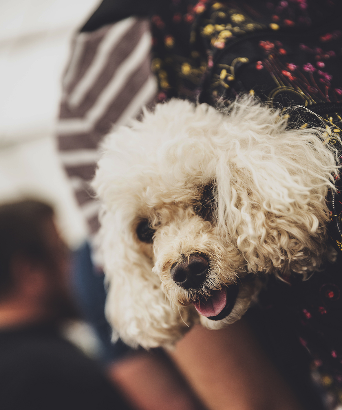 _Z1A6518ITSNOTTOOLATESAT b