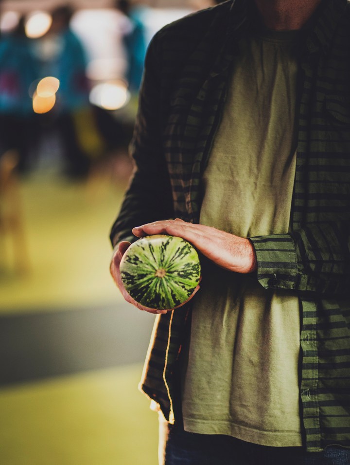 _Z1A2444WHATISEARTH b