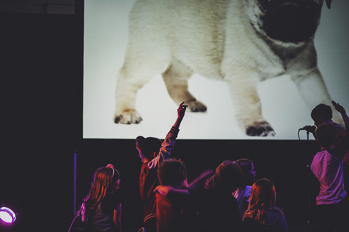 _Z1A2983GROUND CONTROL b