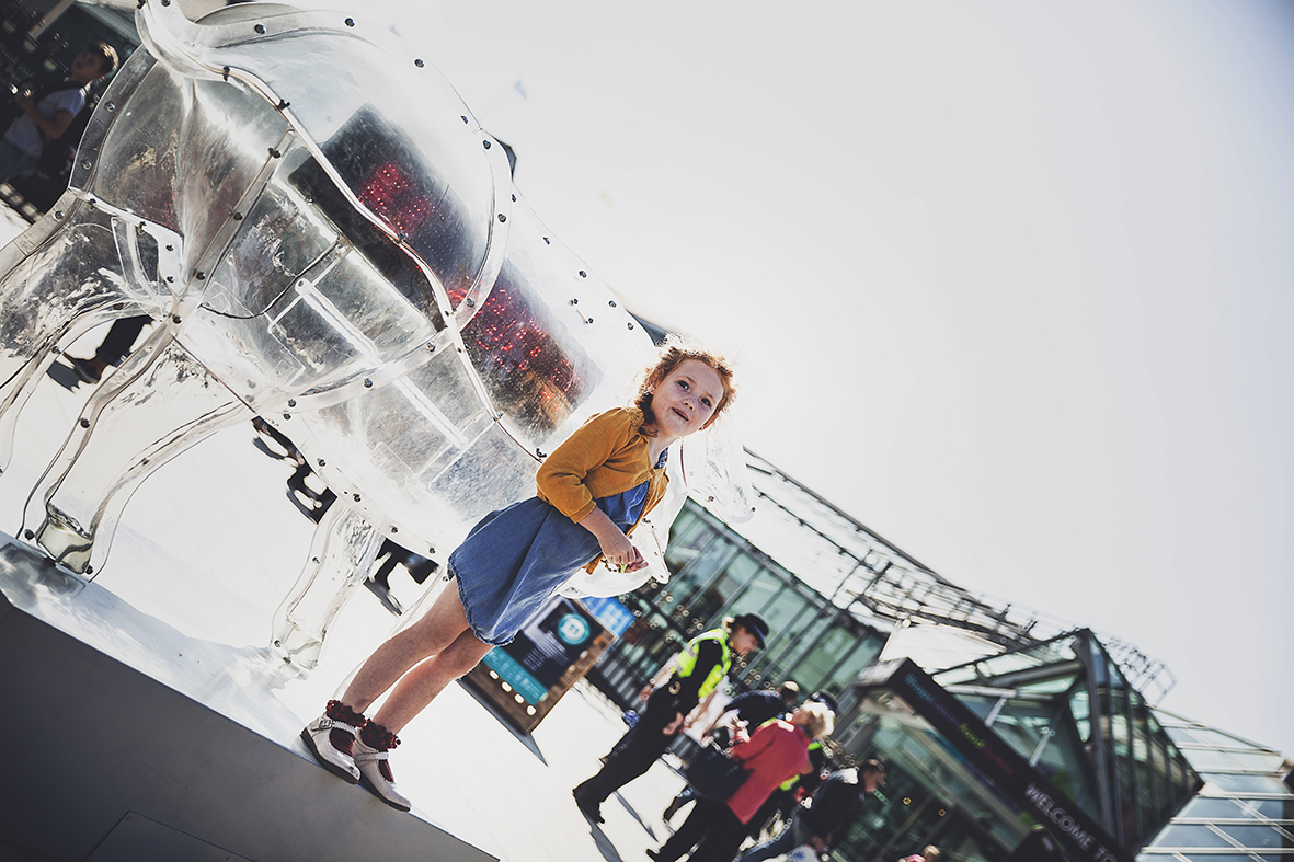 _Z1A7676FFEST FRIDAY b