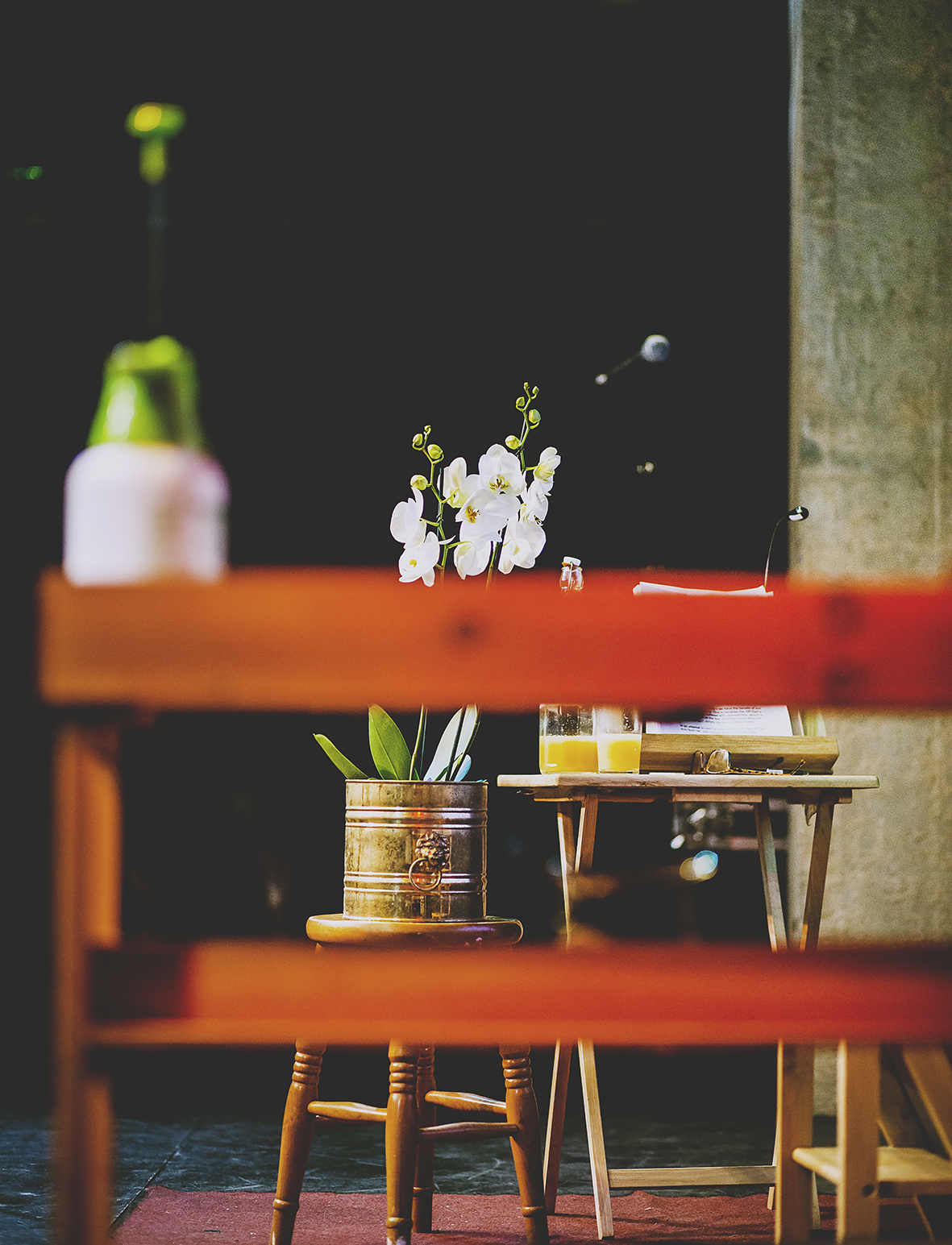 Dave Lee The Orchidian