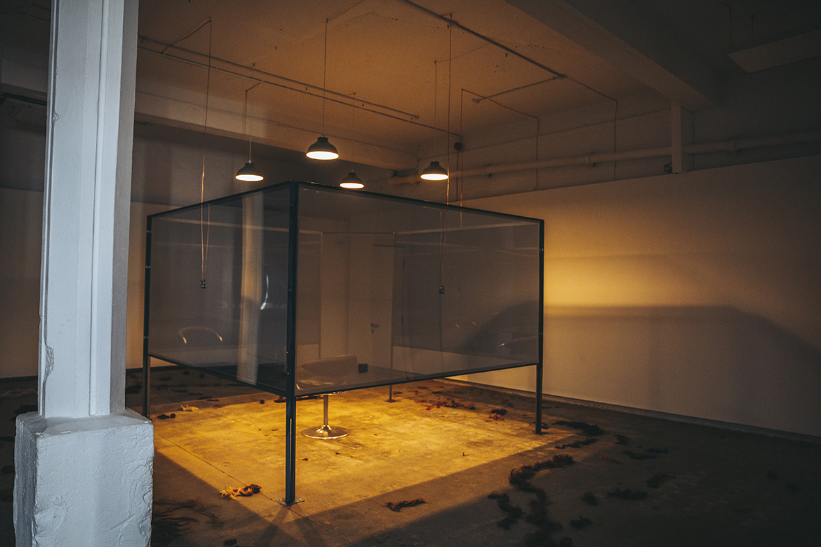 _Z1A9603TALEHEART HUMBER ST GAL b