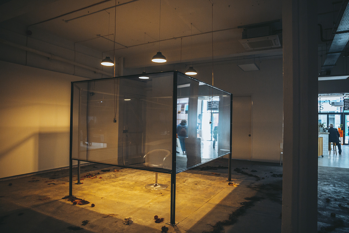 _Z1A9607TALEHEART HUMBER ST GAL b