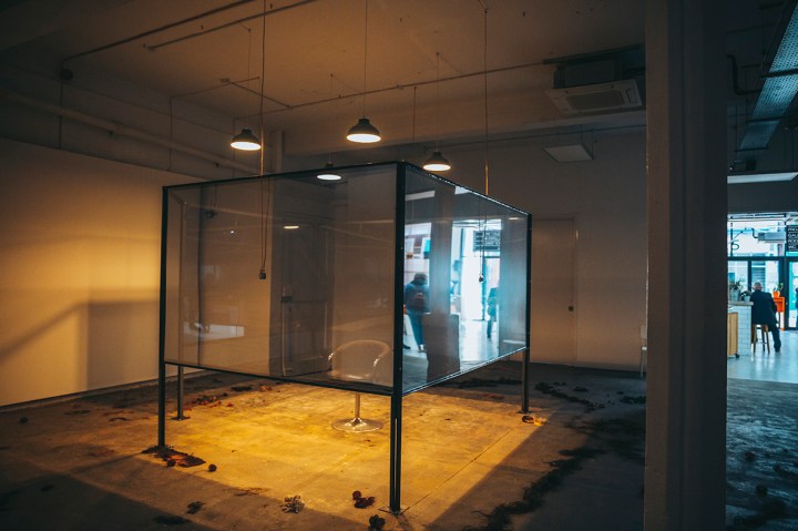 _Z1A9607TALEHEART HUMBER ST GAL b