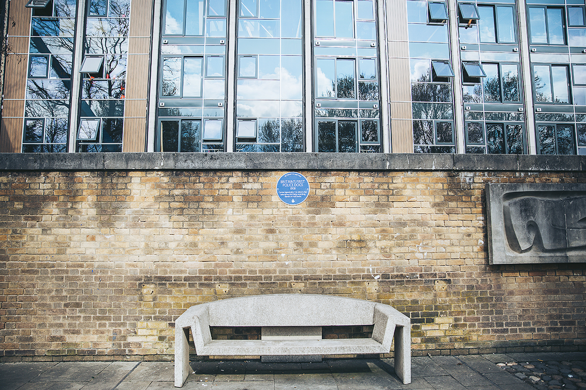 _Z1A0548ALTERNATIVEHERITAGEDRUNKANIMAL b