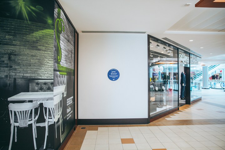 _Z1A0556ALTERNATIVEHERITAGEDRUNKANIMAL b