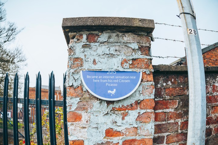 _Z1A0686ALTERNATIVEHERITAGEDRUNKANIMAL b