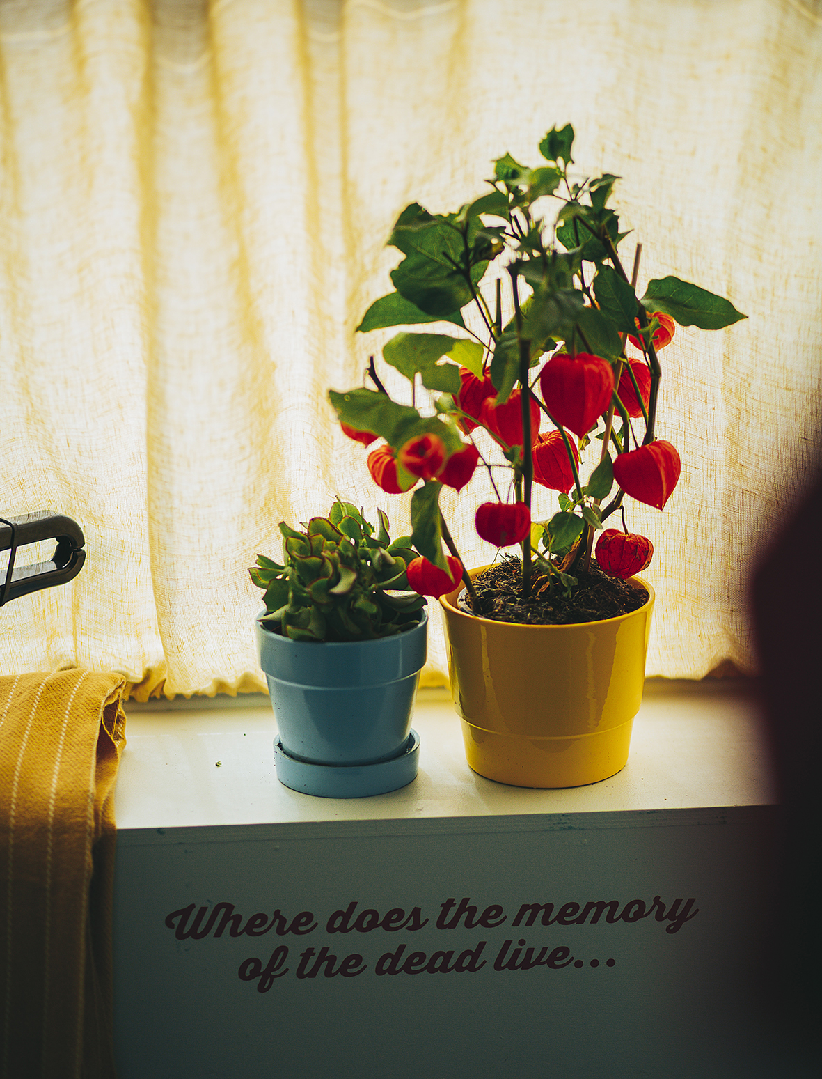 0Z1A4350FREEDOM FESTIVAL b