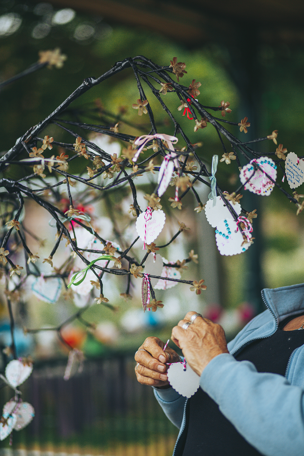 0Z1A4372FREEDOM FESTIVAL b