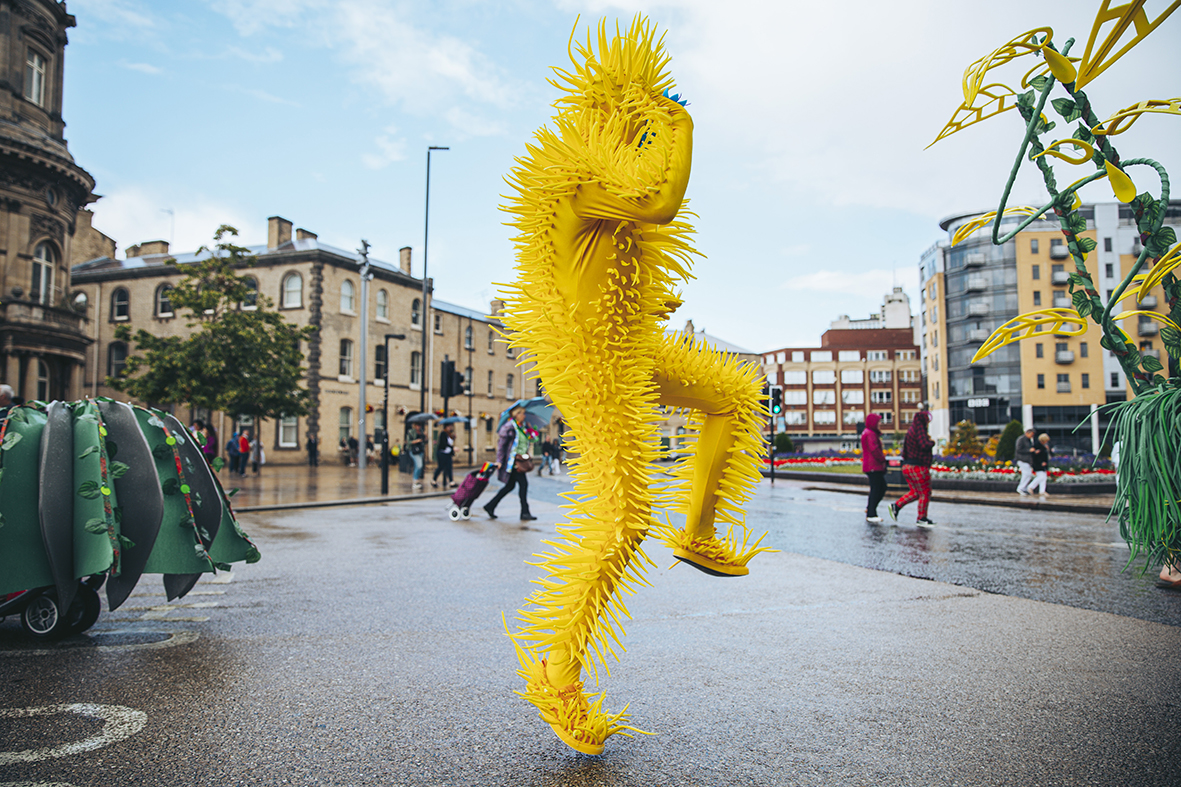 0Z1A4801FREEDOM FESTIVAL b