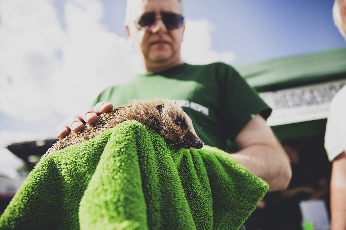 0Z1A5407RSPCA DAY OUT b