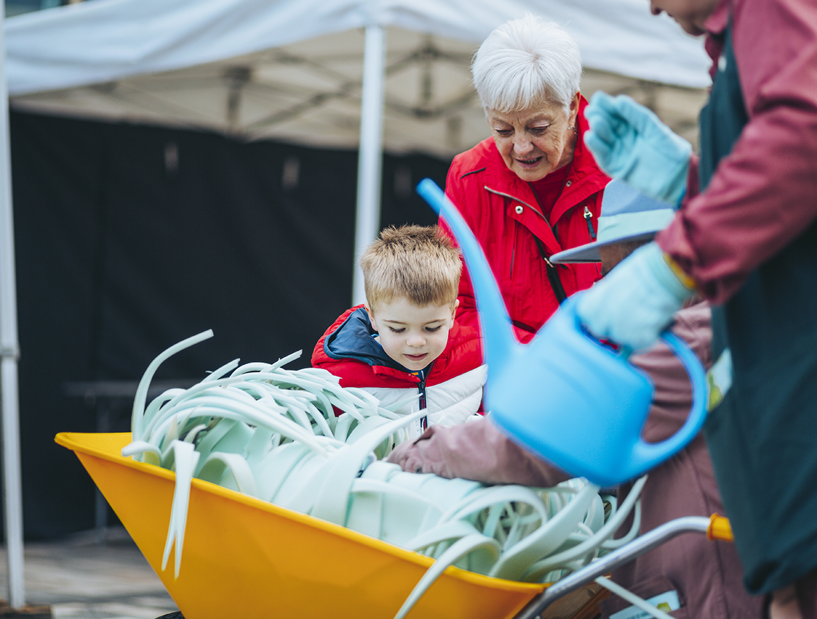 0Z1A3360THEHERD SLIME BARNSLEY b