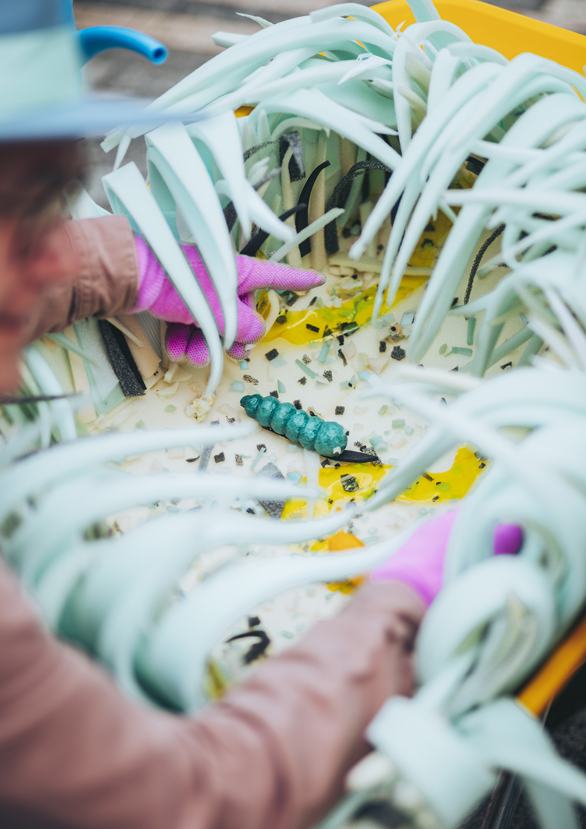 0Z1A3382THEHERD SLIME BARNSLEY b