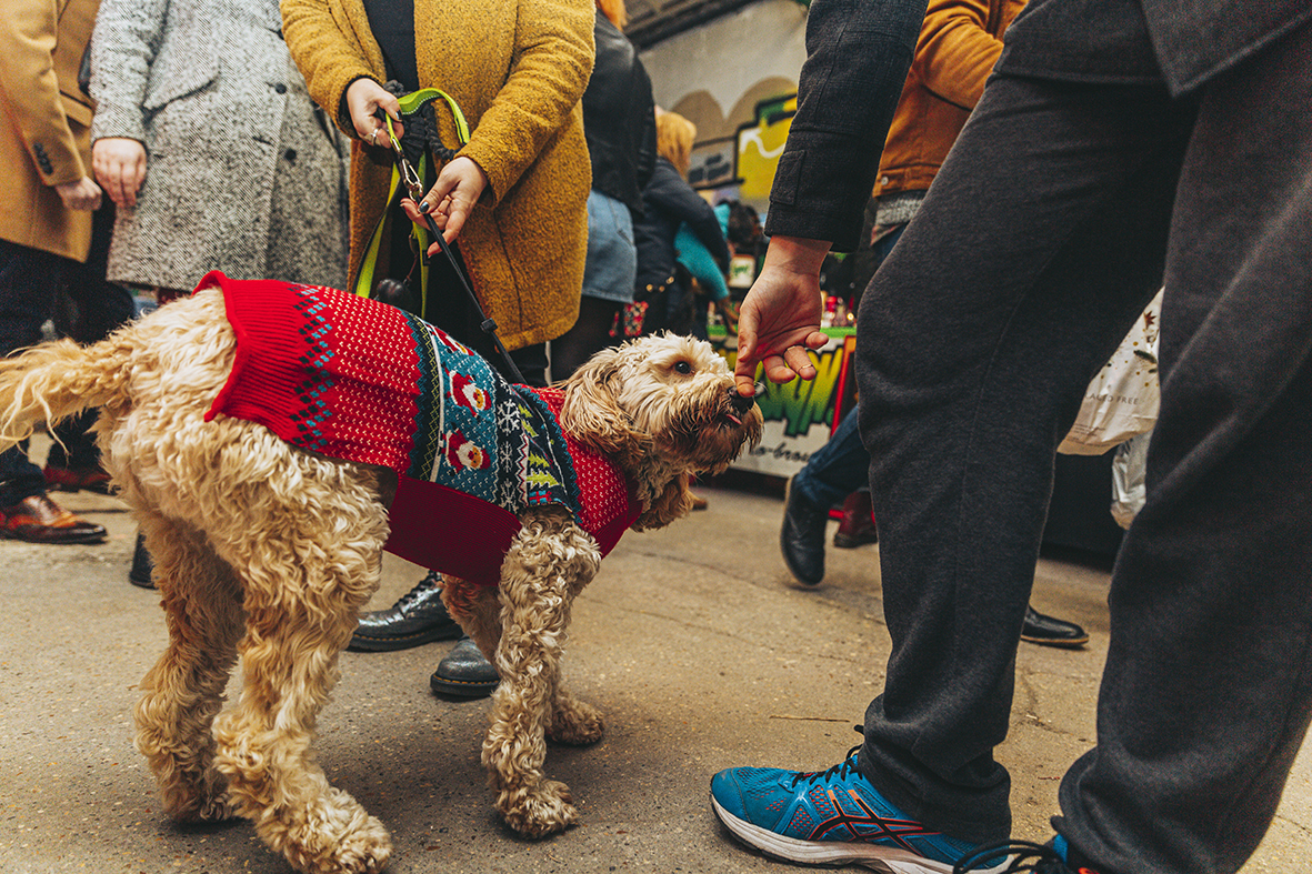 0Z1A7073GOODTHINGS MARKET b